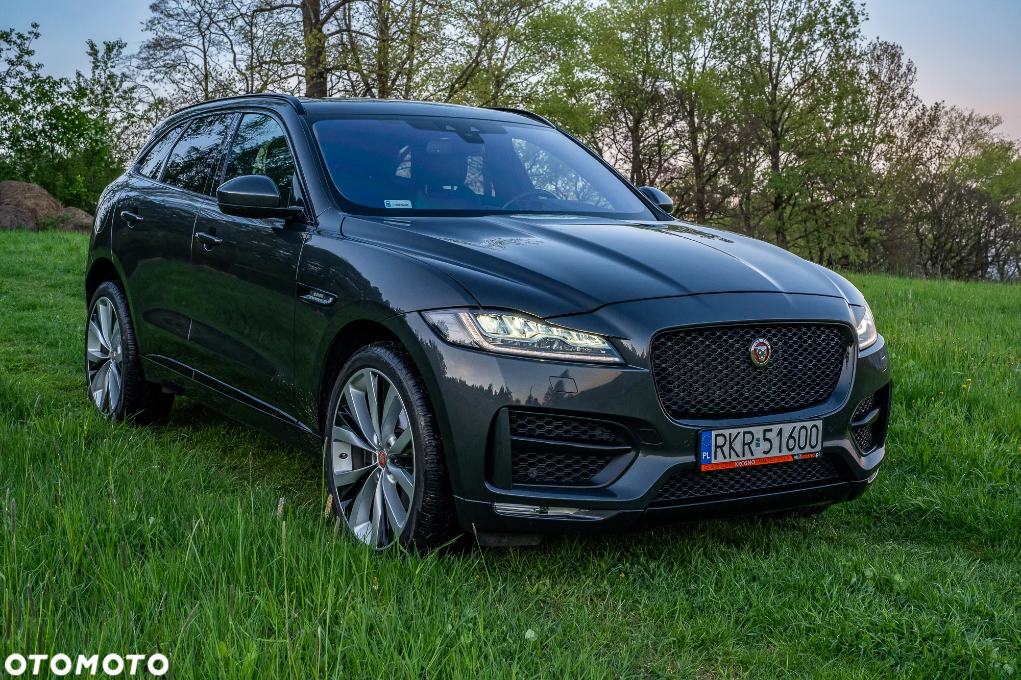 Jaguar F-Pace 3.0 TDV6 AWD R-Sport - 2