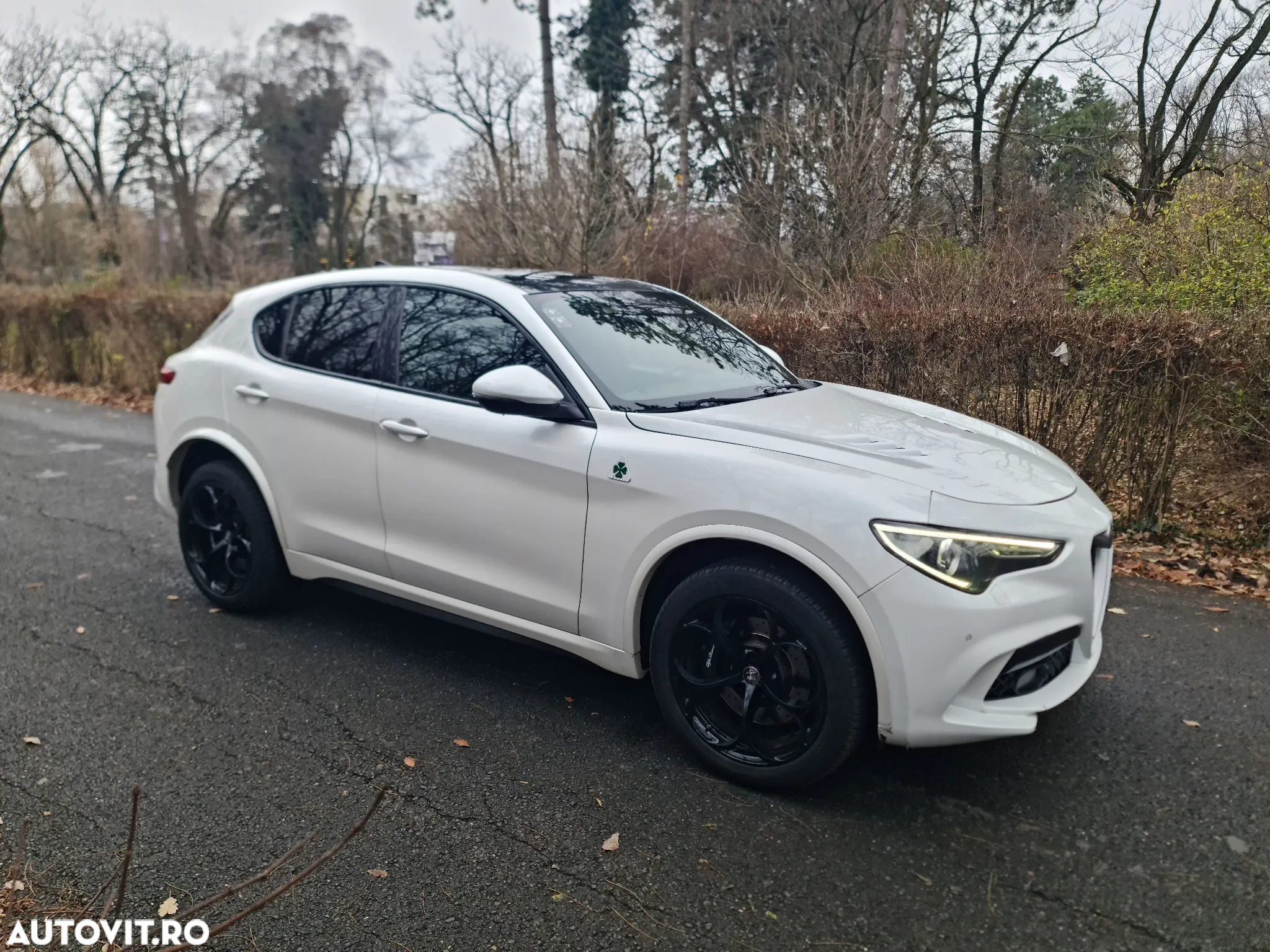 Alfa Romeo Stelvio 2.9 V6 Turbo AWD AT8 Quadrifoglio - 8