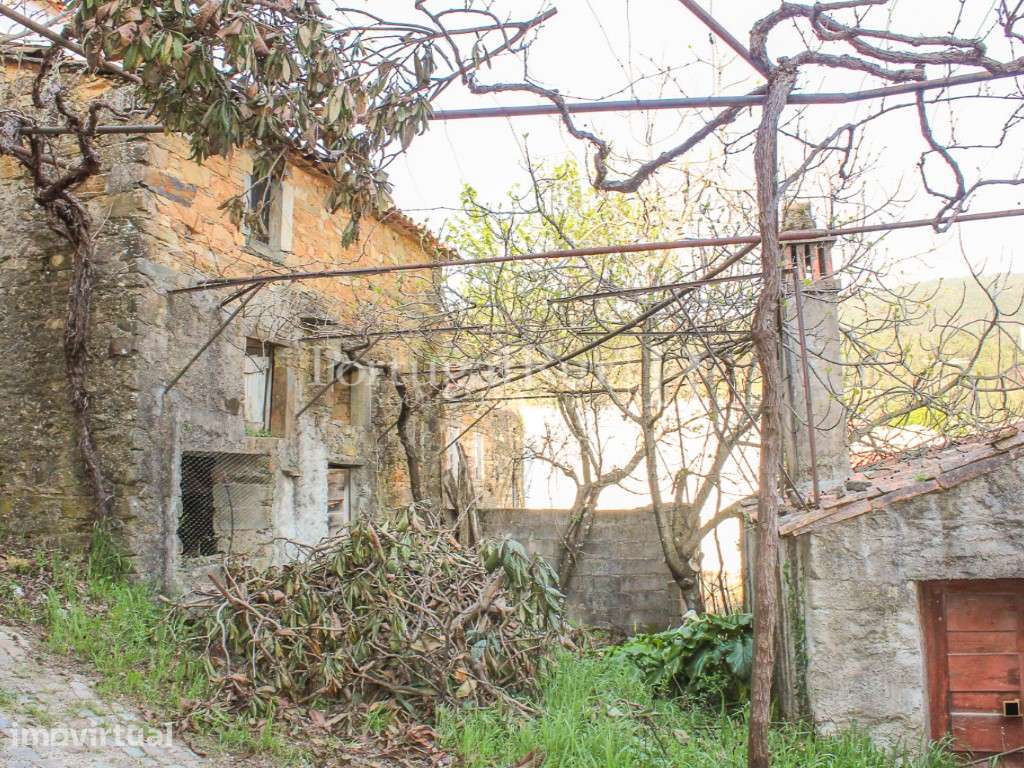Conjunto de imóveis composto por 2 casas, quintal, adega, lojas, pa... - Grande imagem: 3/60