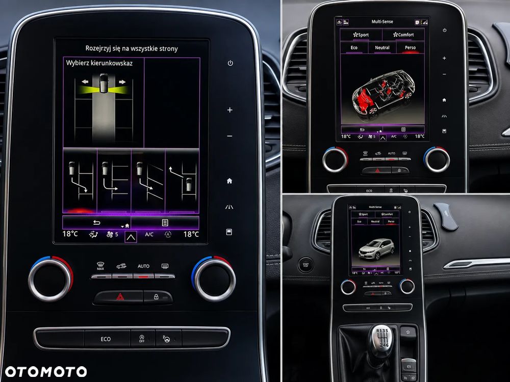 Renault Scenic - 19