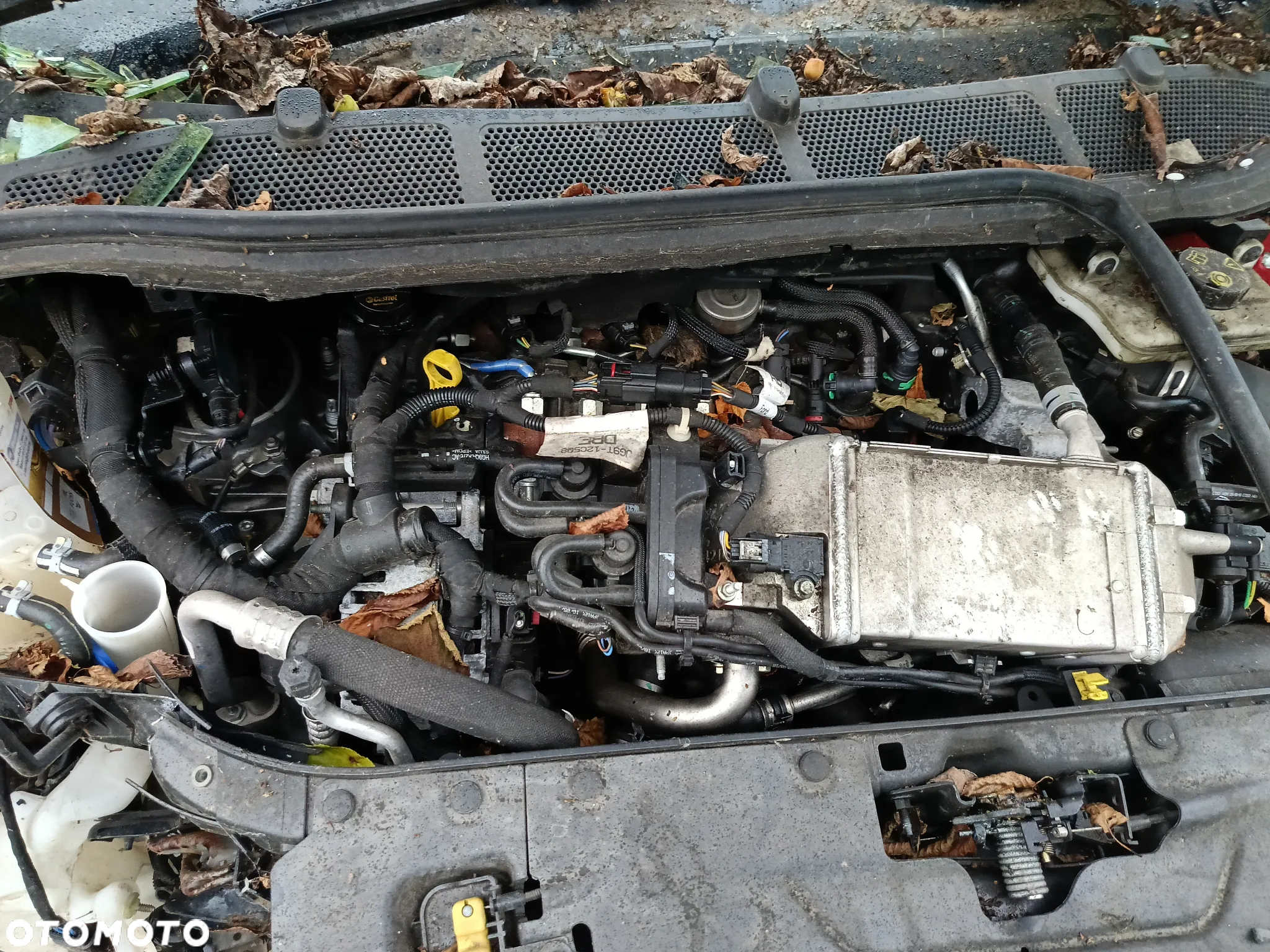 Ford Galaxy 2.0 EcoBlue Twin-Turbo Titanium - 9