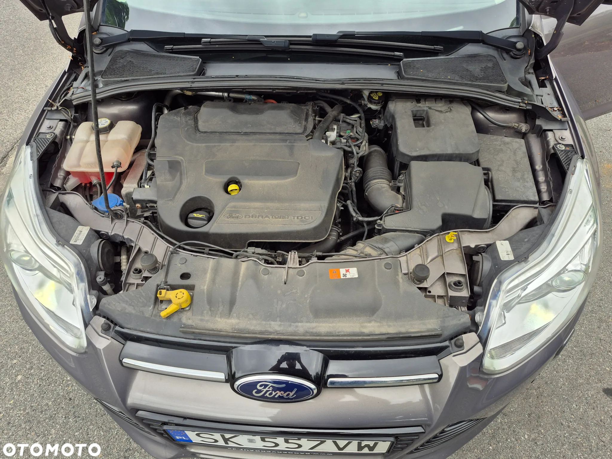 Ford Focus - 8