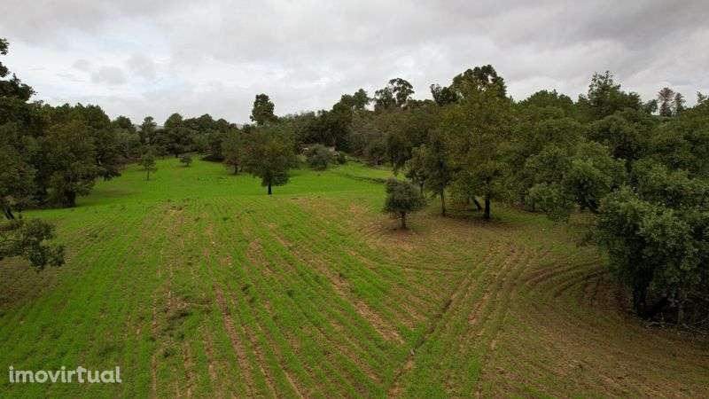 Terreno - Grande imagem: 3/7