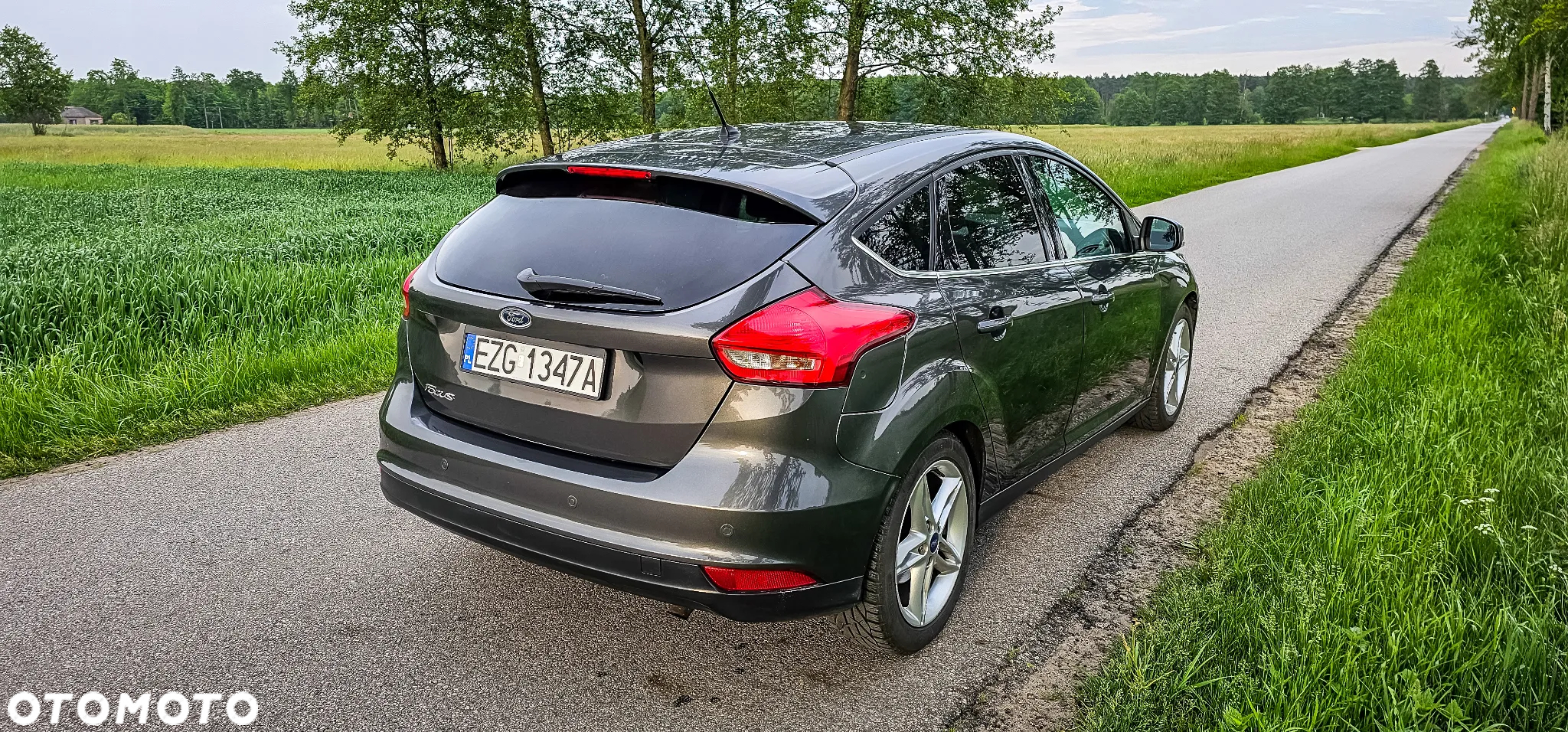 Ford Focus 1.6 Trend Sport - 9