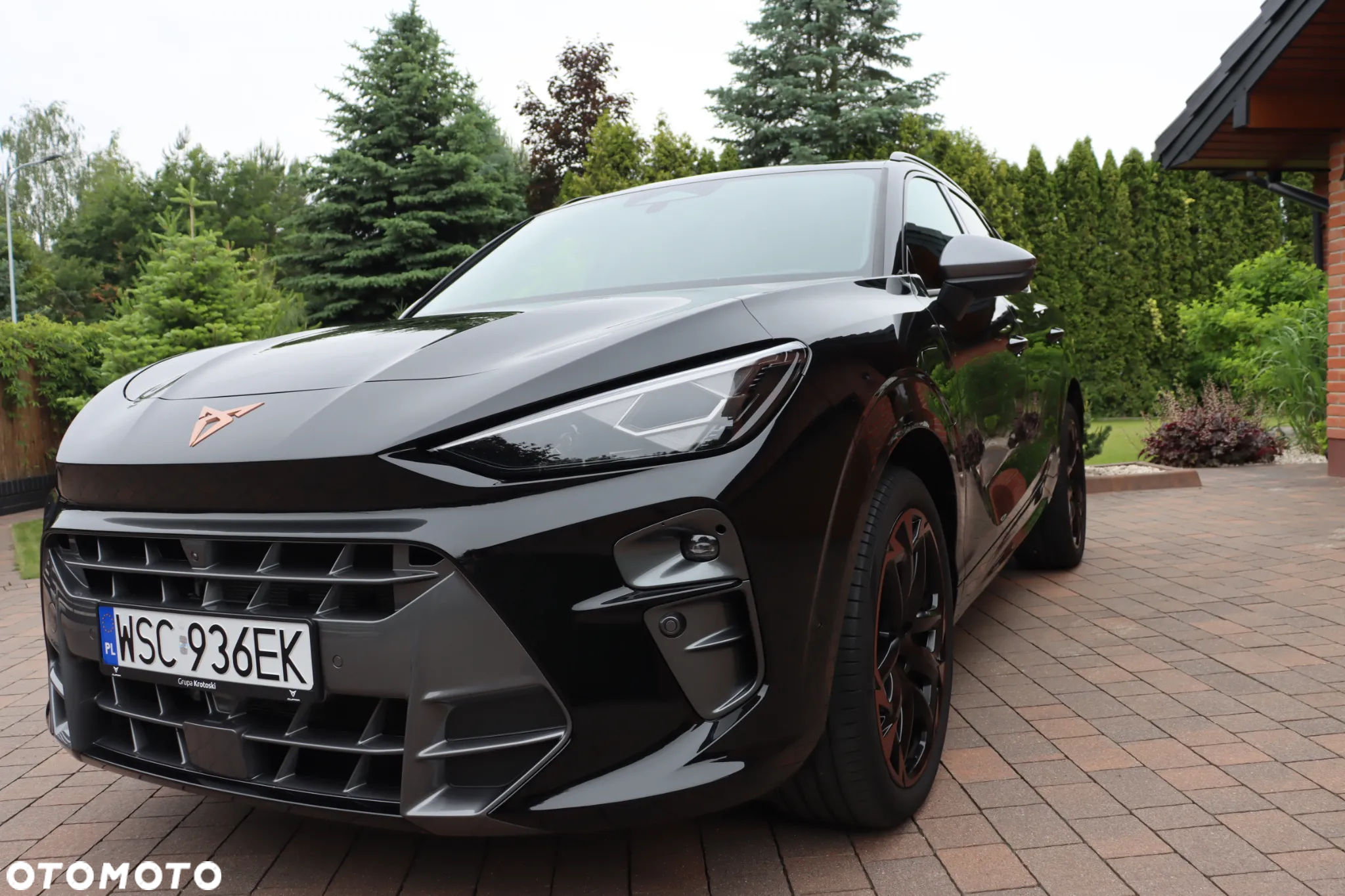 Cupra Terramar - 7