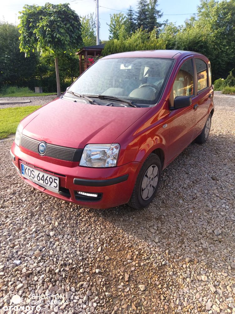 Fiat Panda - 1
