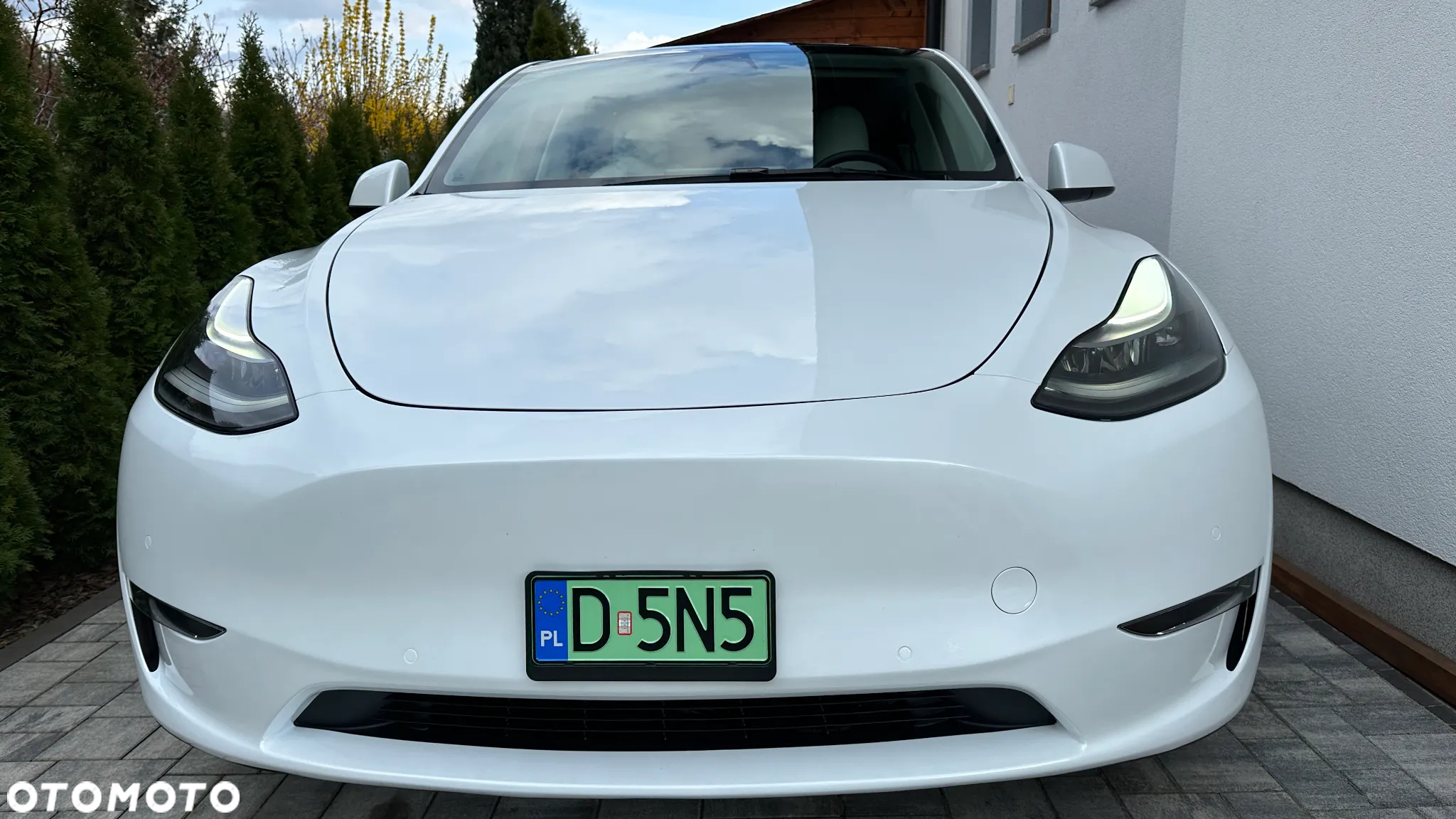 Tesla Y Model Performance Dual Motor AWD - 2