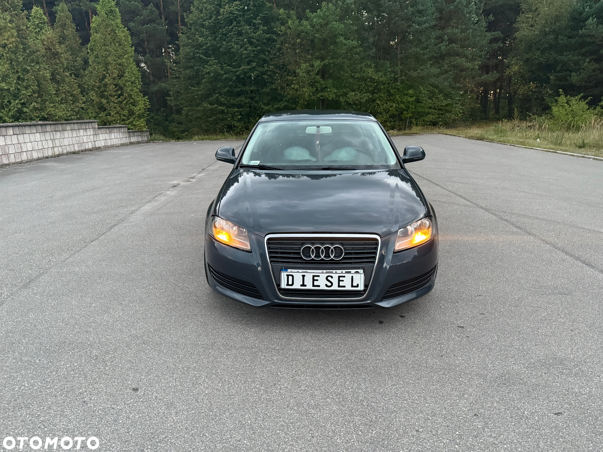 Audi A3 1.9 TDI DPF Ambition - 8