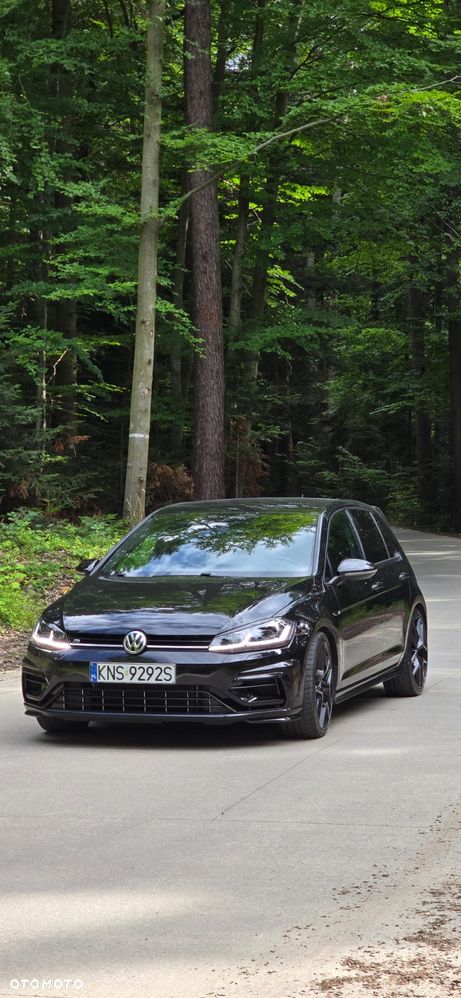 Volkswagen Golf R 4Motion (BlueMotion Technology) DSG - 2