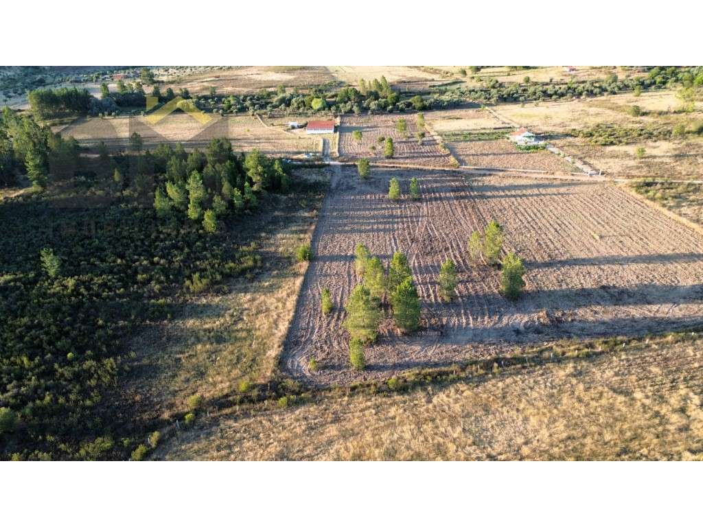 Terreno rústico com 18.080m2, para venda, em Freixial do Campo. - Grande imagem: 3/10
