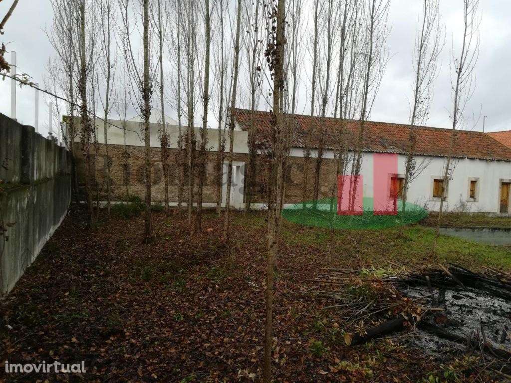 Moradia T6 Constância***RIOMAGIC*** - Grande imagem: 3/9