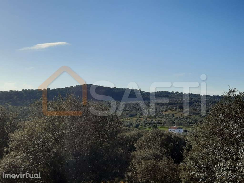 Quinta - Portalegre - Grande imagem: 5/26