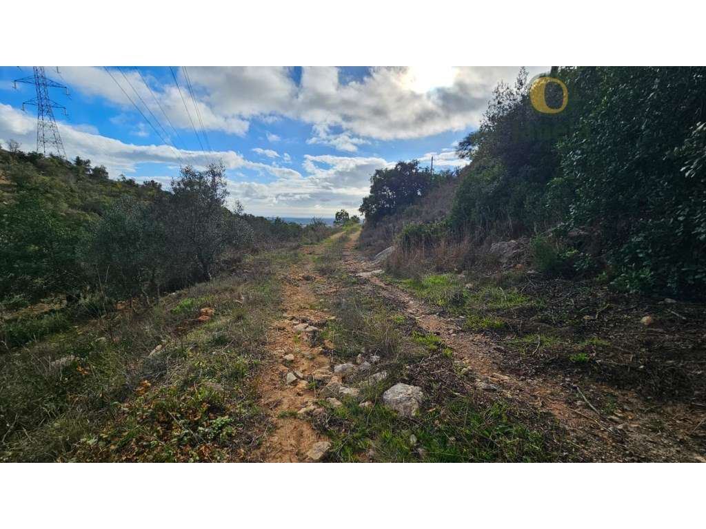 Terreno Rústico em Estoi com Poço - Grande imagem: 2/21