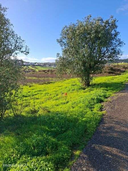 Terreno rustico en Azambuja