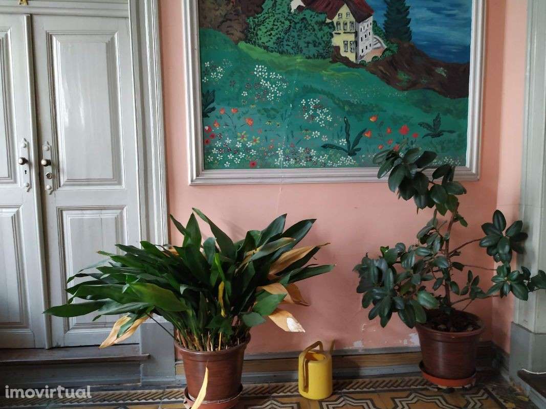 Palacete no centro da cidade - Grande imagem: 3/29