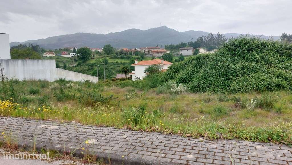 Lote - Guilhofrei - Grande imagem: 4/5