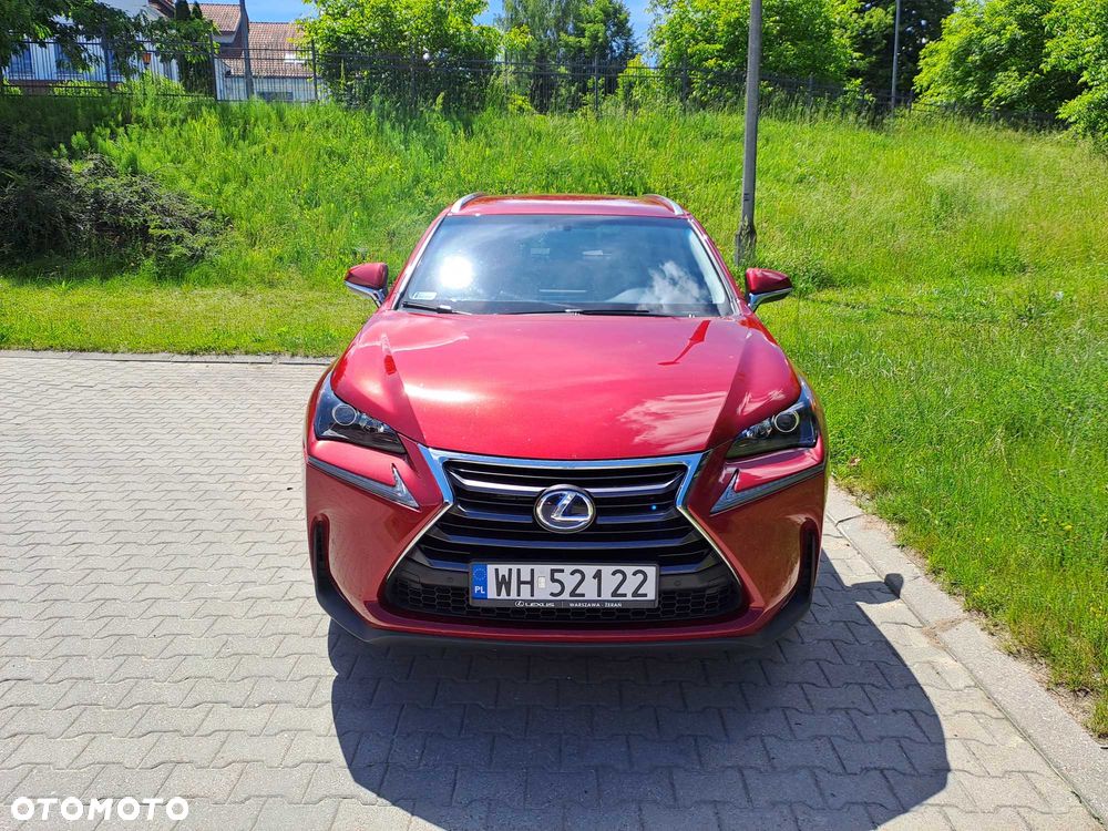 Lexus NX - 3