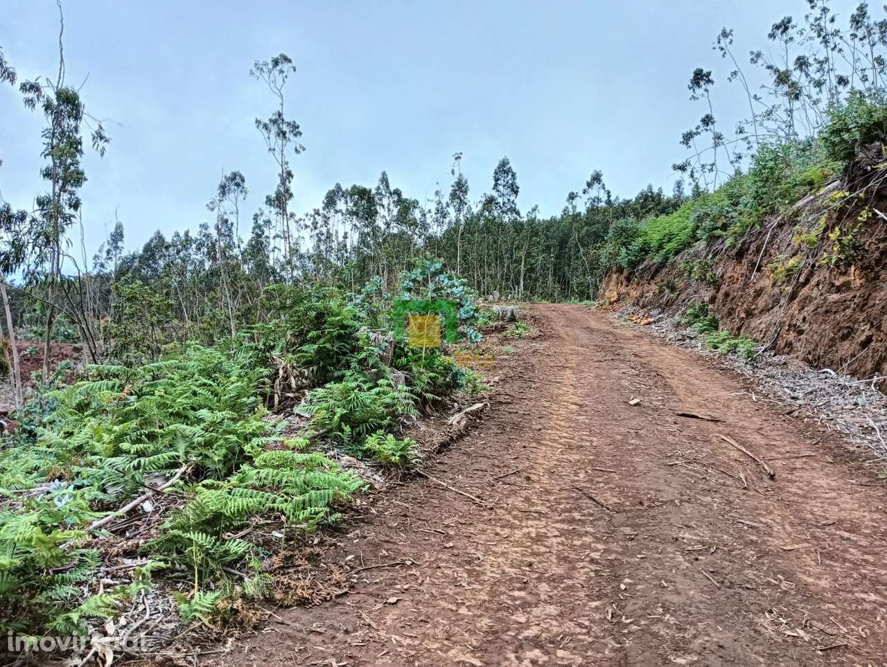 Terreno localizado no Santo da Serra - Grande imagem: 2/10