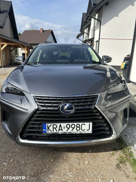 Lexus NX 300h Elegance Optimum AWD - 1