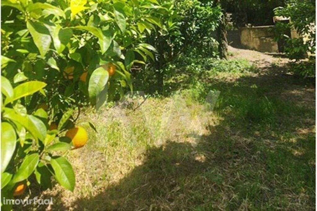 Terreno Urbano em Carcavelos para Venda - Grande imagem: 4/10