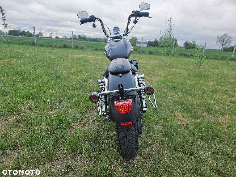 Harley-Davidson Sportster Custom 1200C - 11