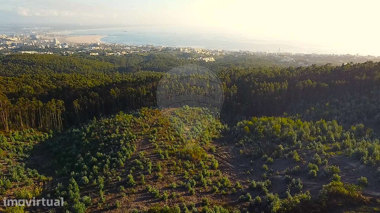 Terreno  para venda - Grande imagem: 4/8