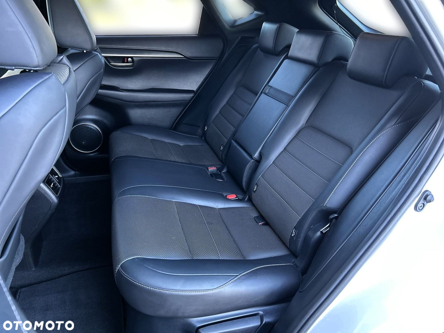 Lexus NX 300h F Sport AWD - 17