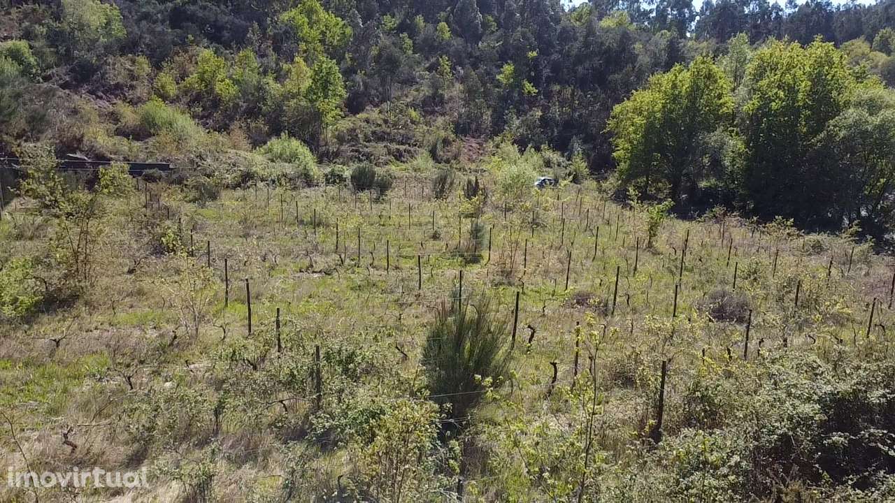 Terreno – Vouzela - Grande imagem: 5/19