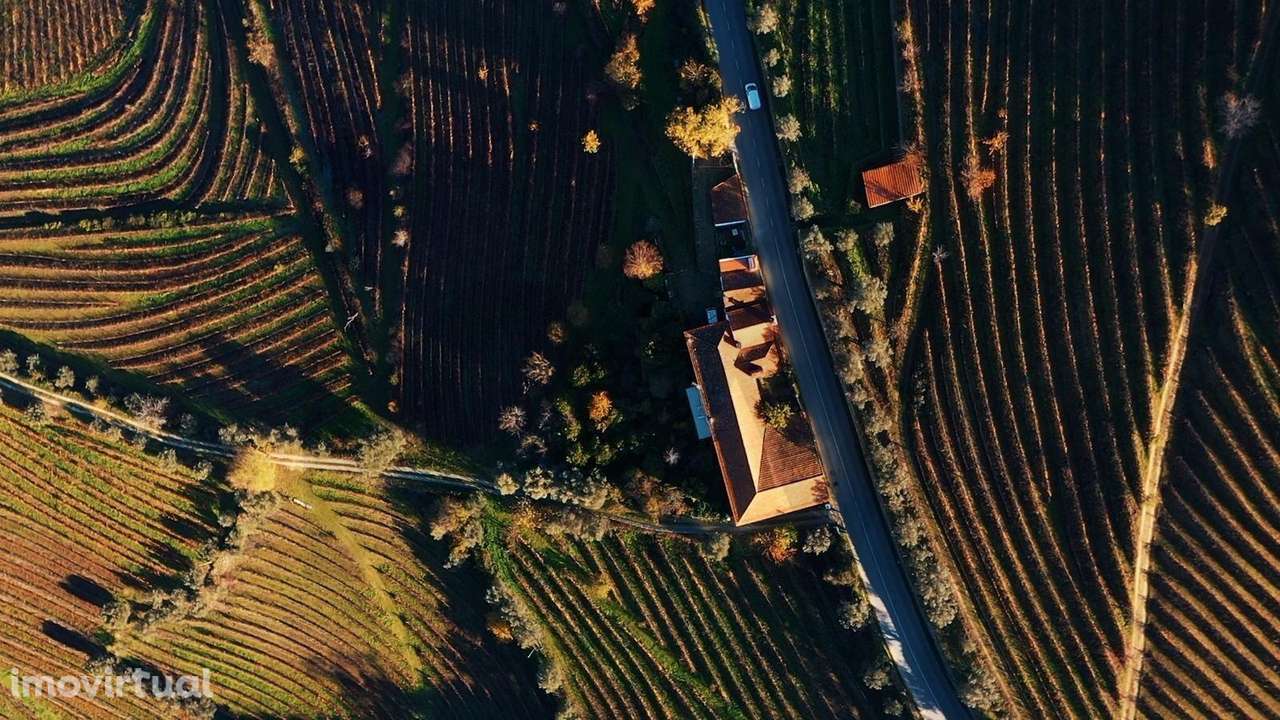 Quinta de construção antiga, em bom estado - Uma Casa com Alma e Memór - Grande imagem: 4/36