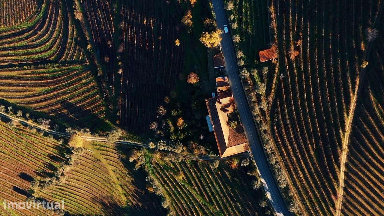 Quinta de construção antiga, em bom estado - Uma Casa com Alma e Memór - Grande imagem: 4/36
