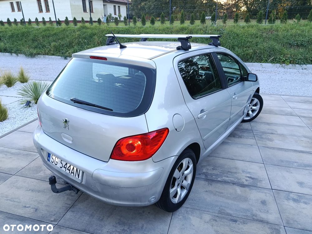 Peugeot 307 2006 photo 4
