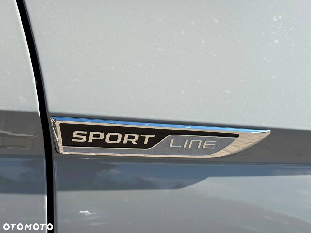 Skoda Karoq 2.0 TSI 4x4 Sportline DSG - 19