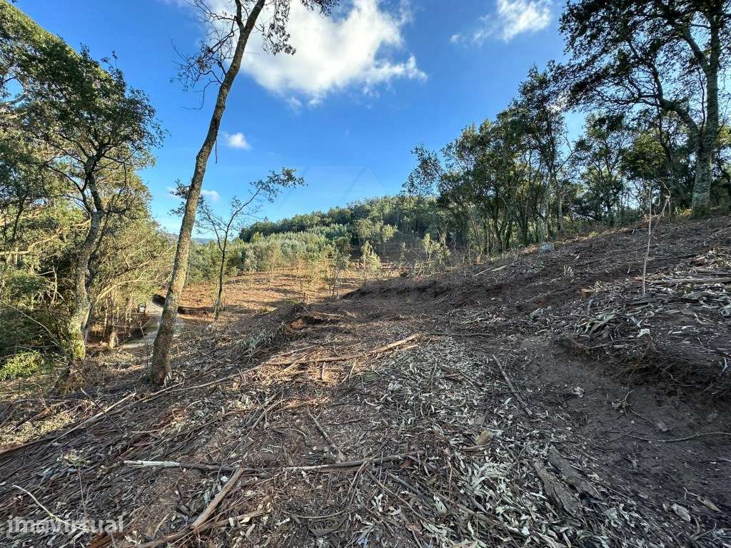 Terreno com 32.000 m2 - Grande imagem: 5/17