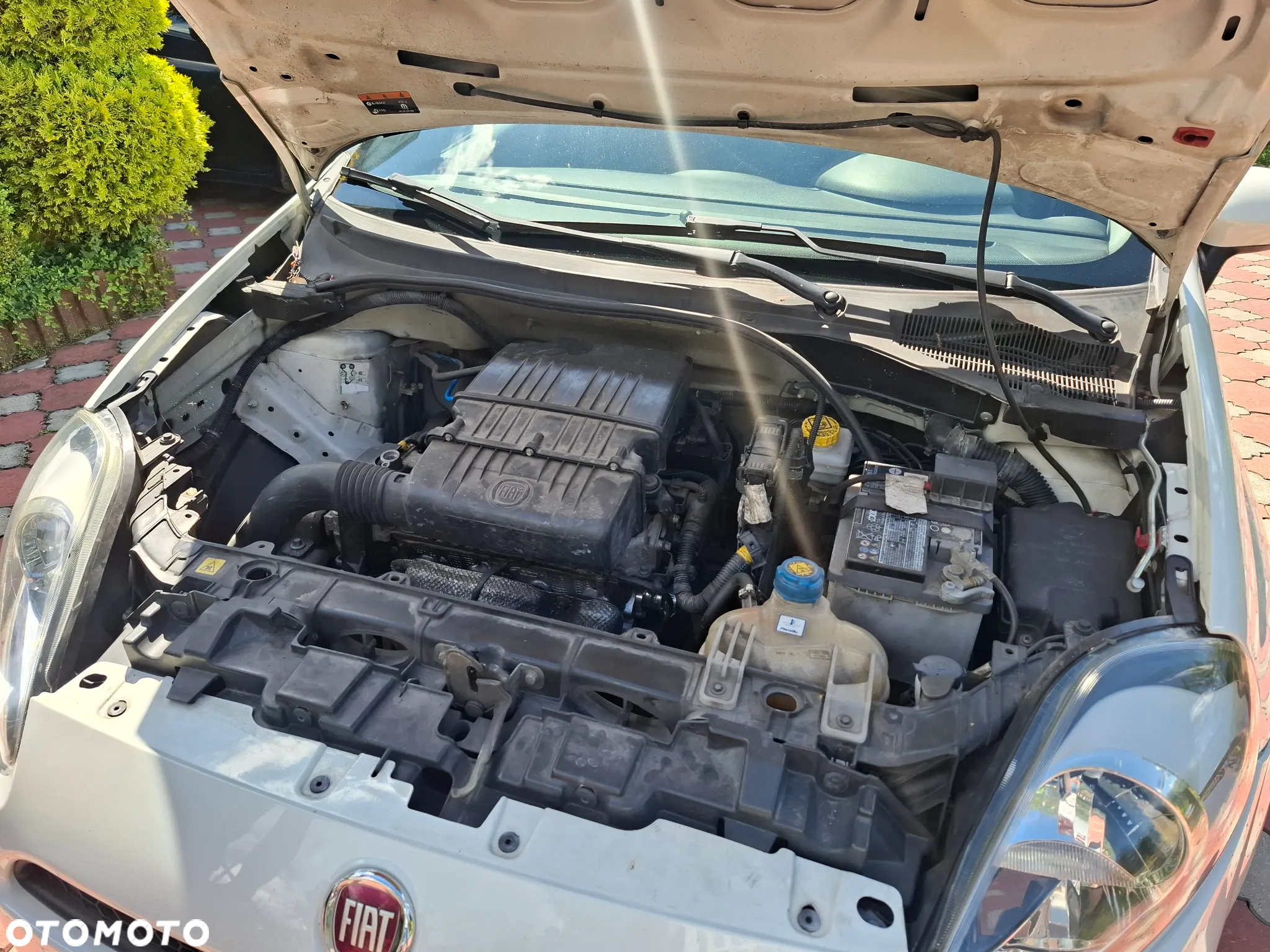Fiat Punto 1.2 Easy Pakiet Easy Plus - 17