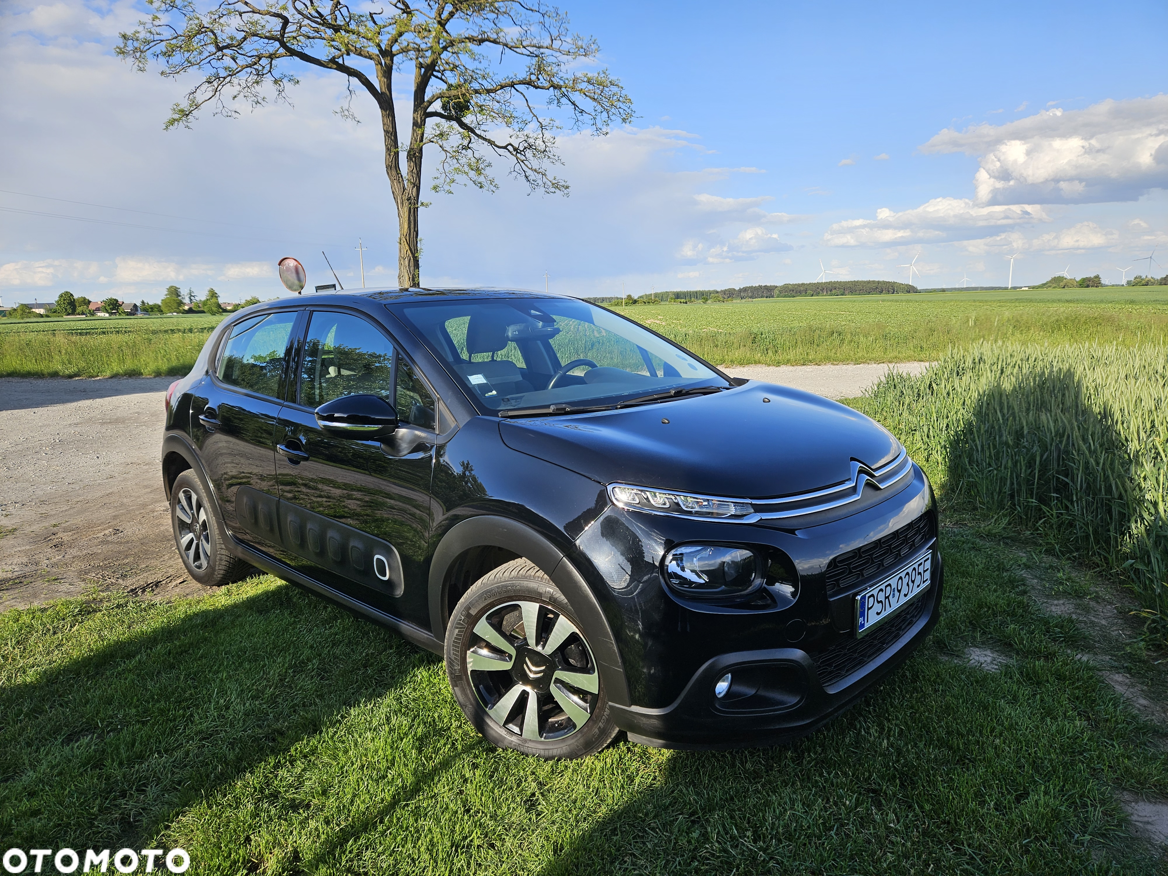Citroën C3 Pure Tech 83 S&S FEEL - 12