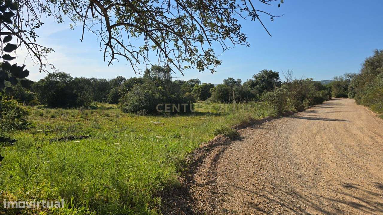 Terreno Rústico com 1900 m2 localizado em Cabeça de Câmara, São Sebast - Grande imagem: 3/6