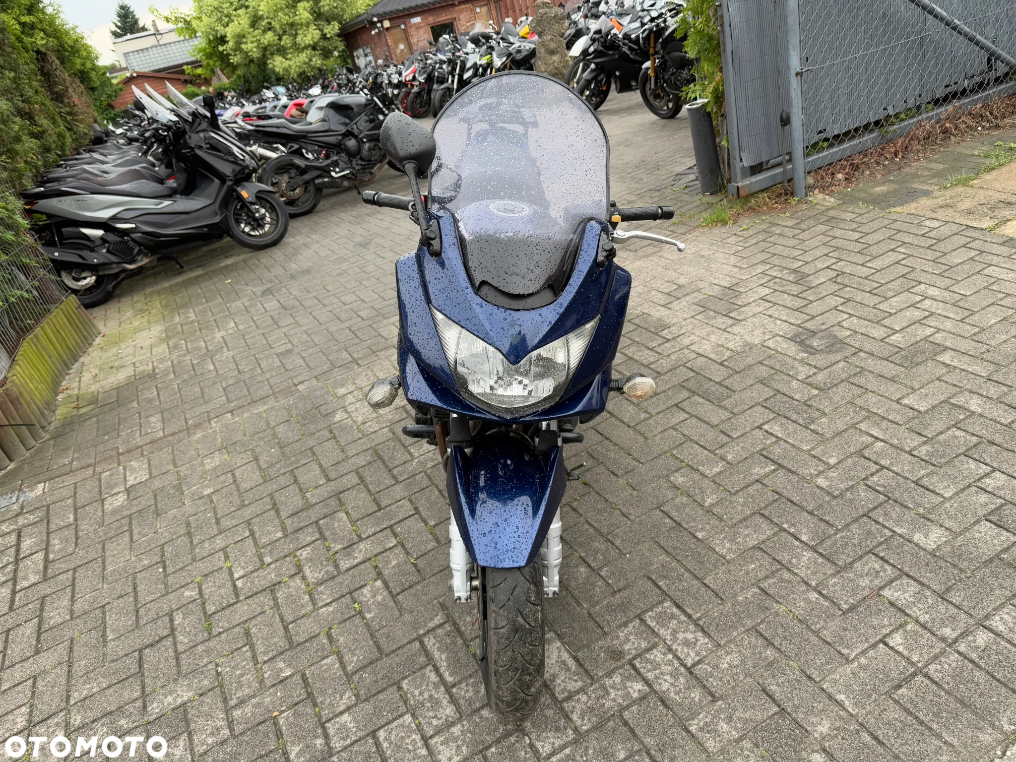 Suzuki Bandit - 2