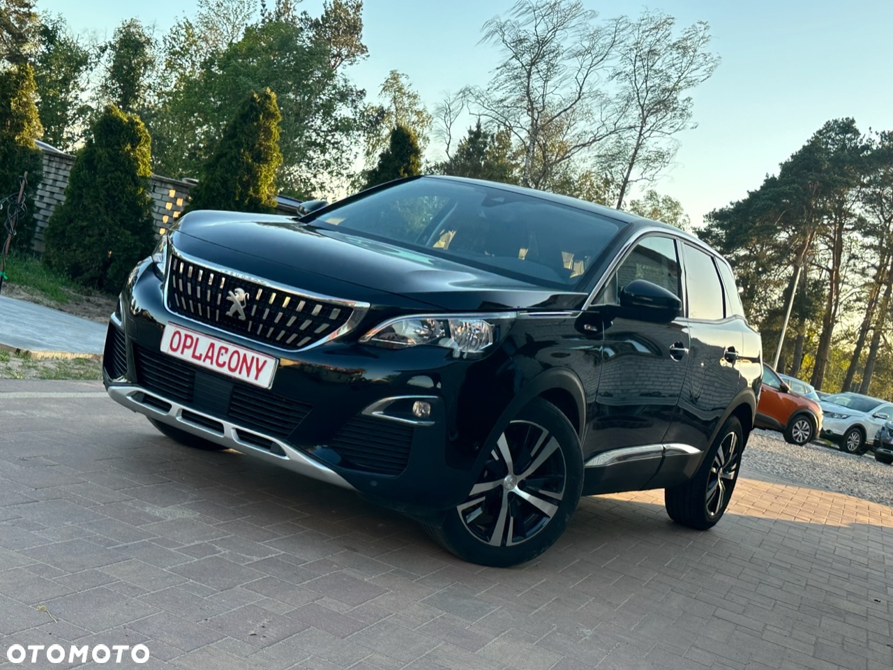 Peugeot 3008 - 12