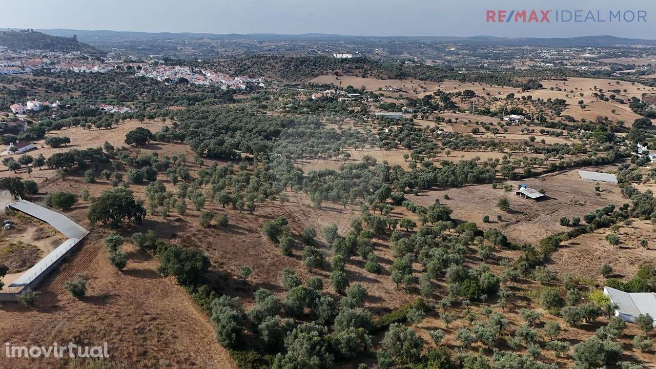 Quinta  para venda - Grande imagem: 2/9