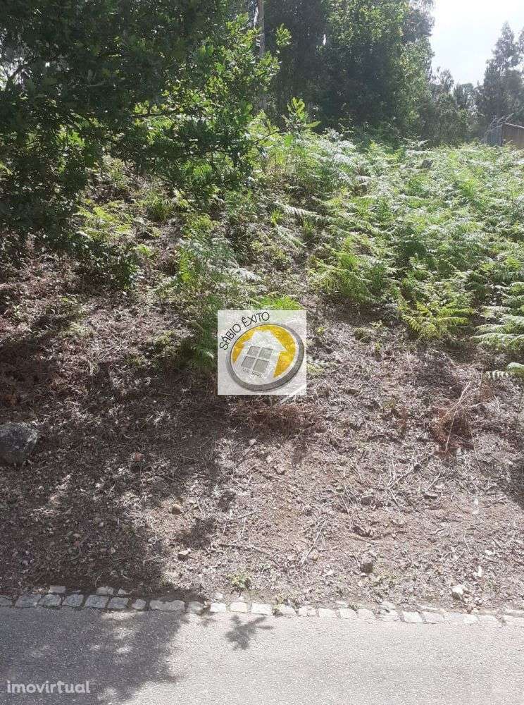 Terreno Urbano com 1000 m2 em Olival, Gaia - Grande imagem: 3/8