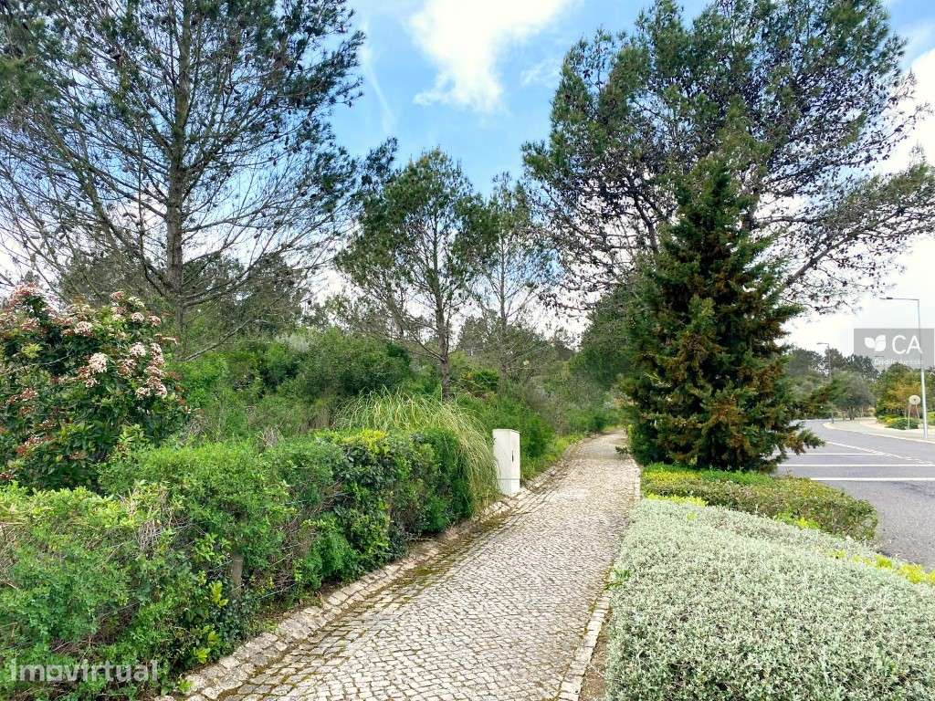 Lote de terreno nº134 destinado a construção com 14.006,6m², situad... - Grande imagem: 5/18