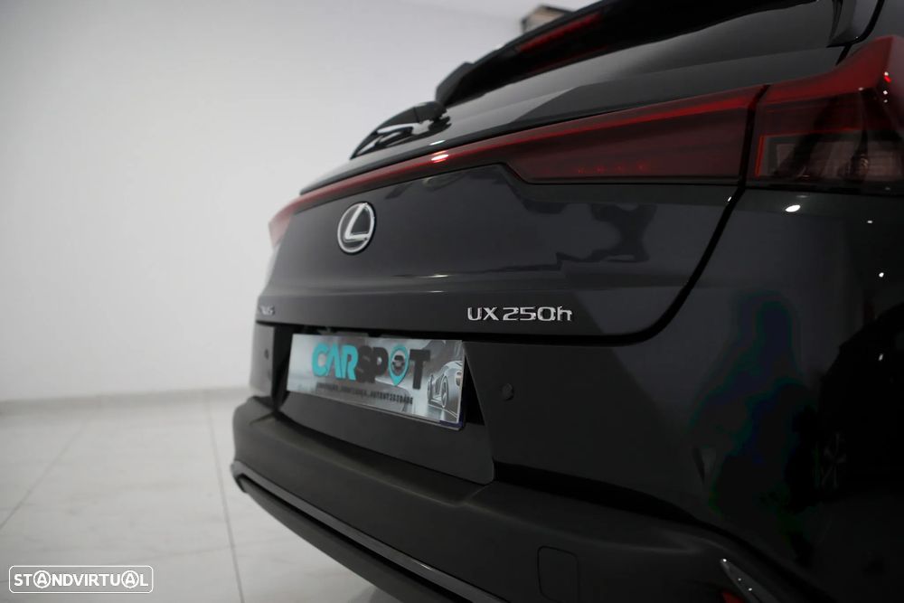 Lexus UX 250h F Sport - 10