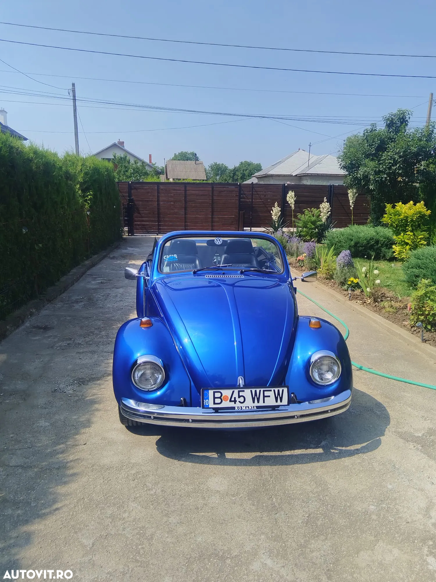 Volkswagen Beetle - 5