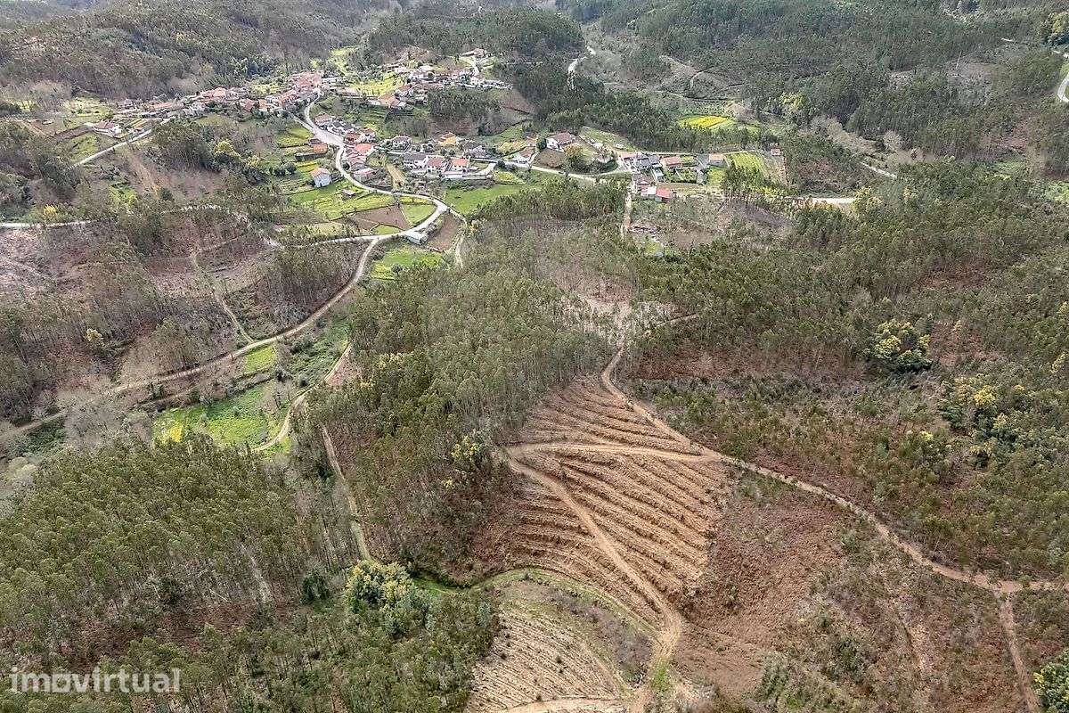 Terreno  para venda - Grande imagem: 5/10
