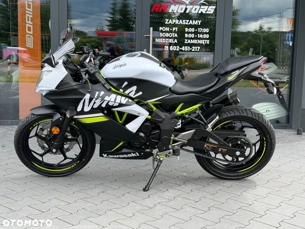 Kawasaki Ninja - 25