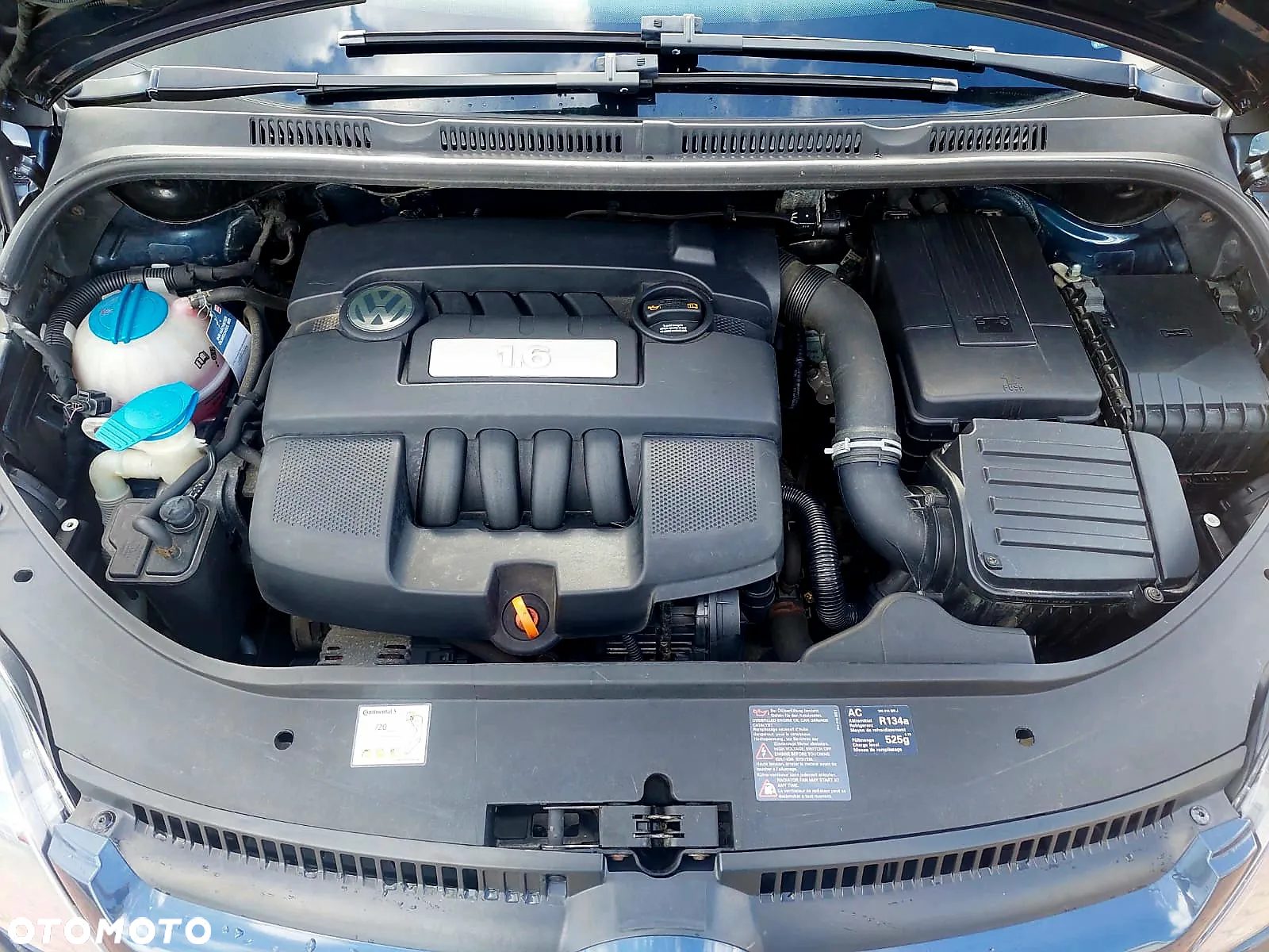 Volkswagen Golf Plus 1.6 Team - 23
