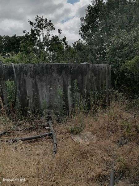 Quinta, com pavilhões - Grande imagem: 4/9