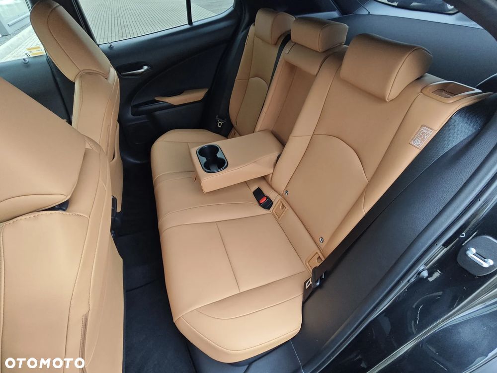 Lexus UX 250h GPF F Sport Design+ 2WD - 13