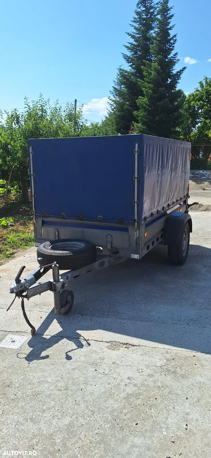Wiola w-600 - 2
