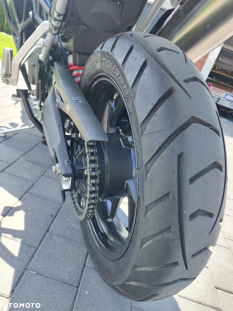 Triumph Tiger - 15
